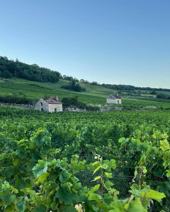Le Clos De Miribel Givry  Exteriör bild