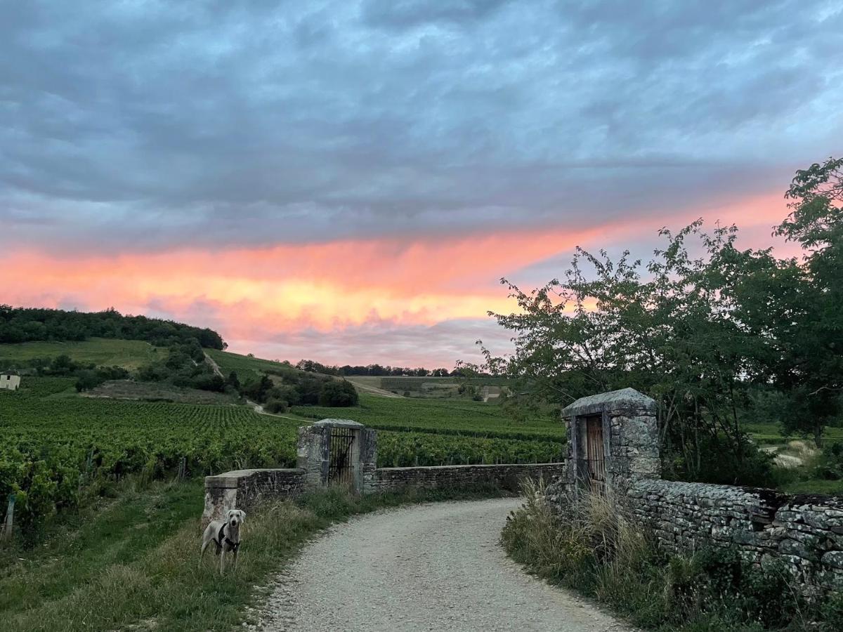 Le Clos De Miribel Givry  Exteriör bild